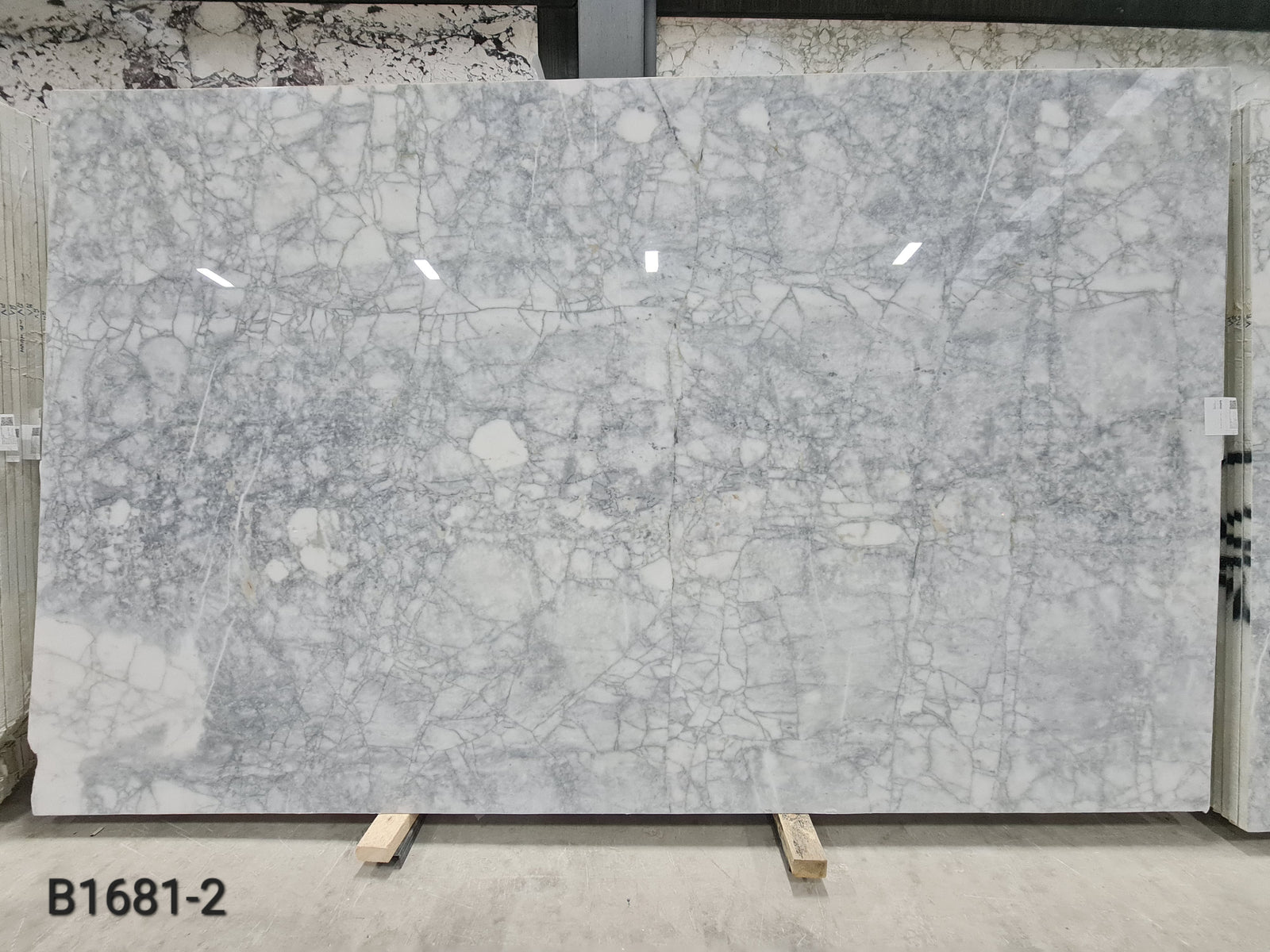 Calacatta Venato Dark