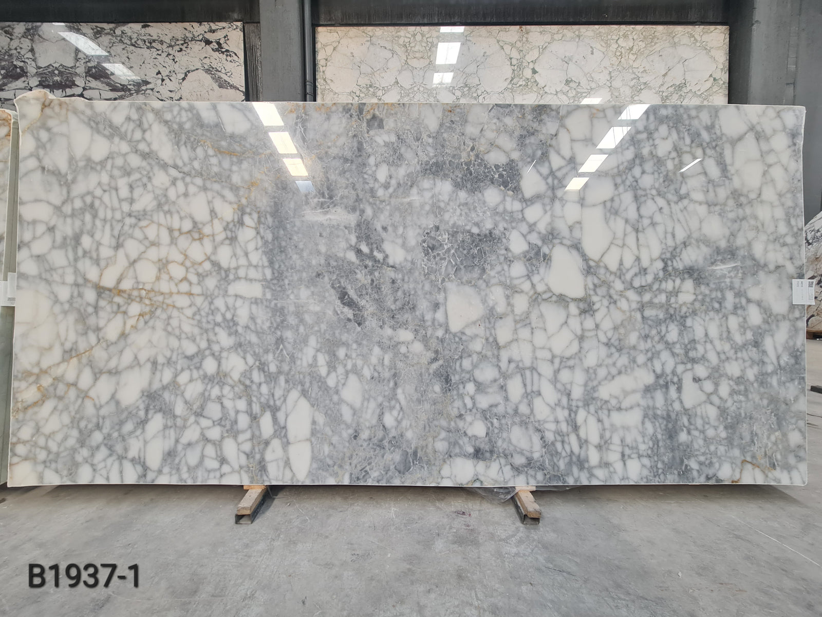 Calacatta Venato Dark