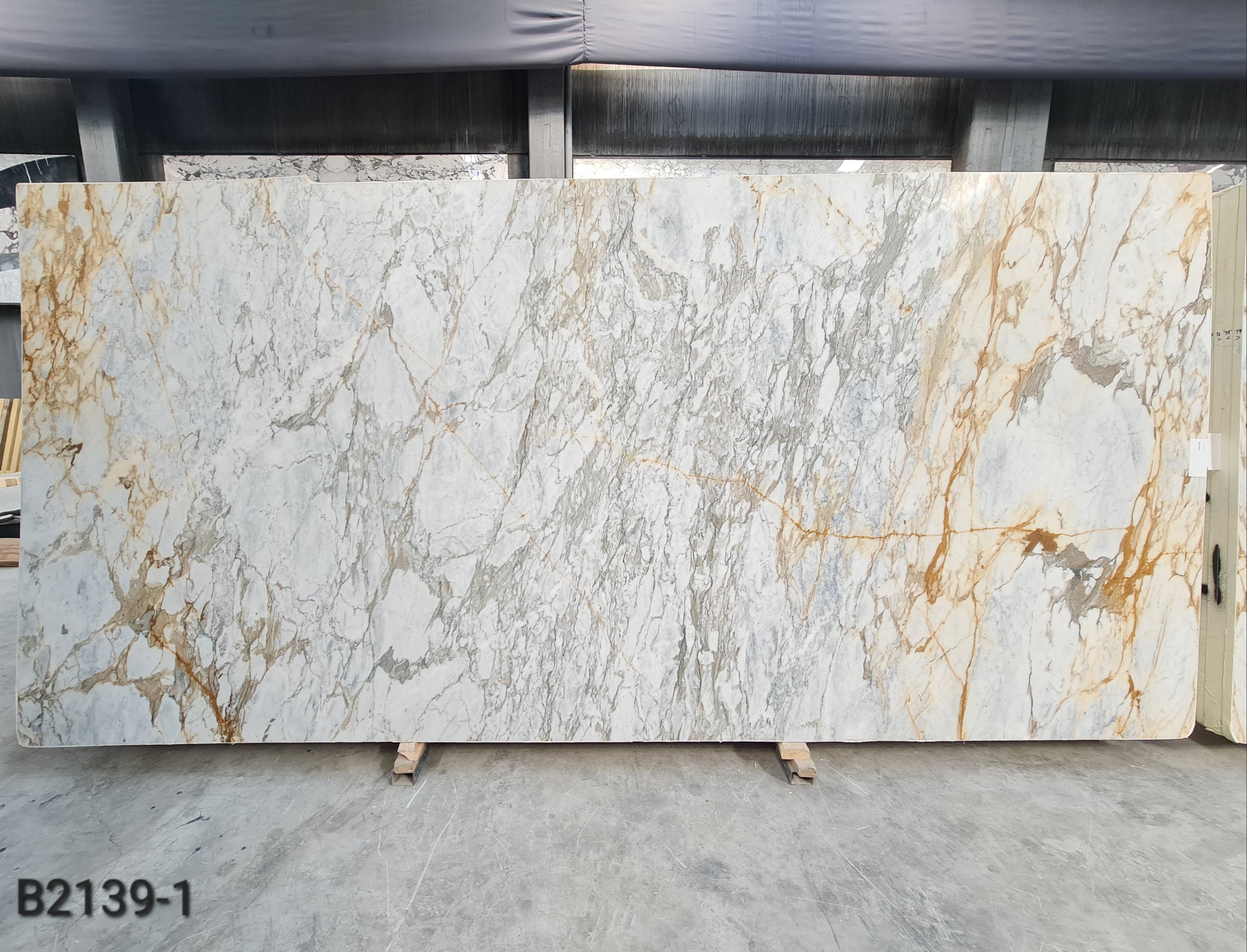 Calacatta Gold
