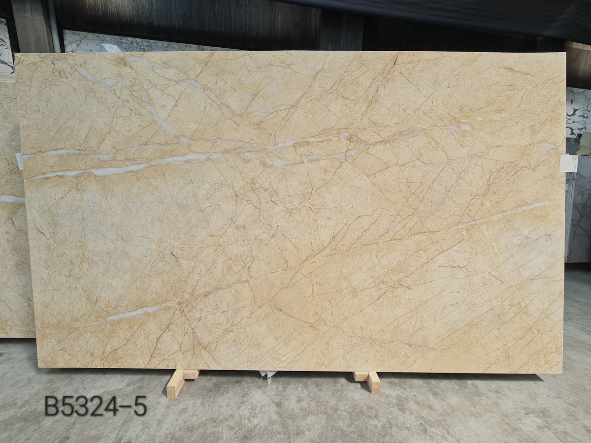Golden Spider Dolomite marble slab