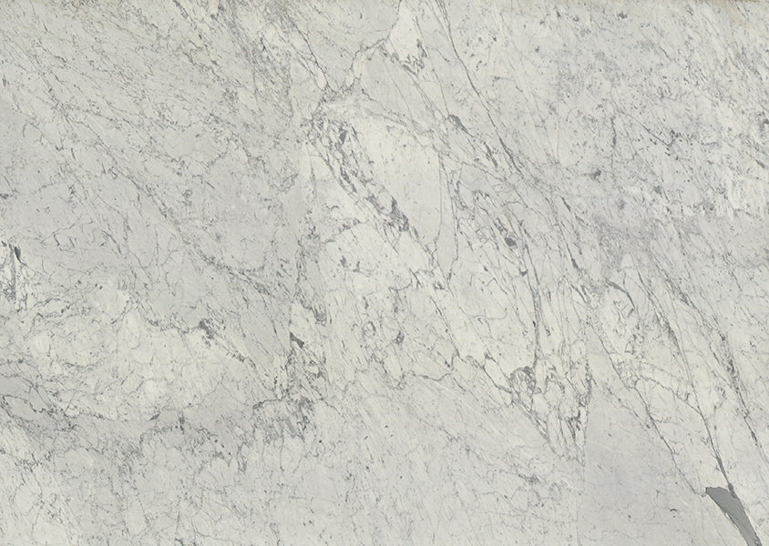 Carrara White 241042