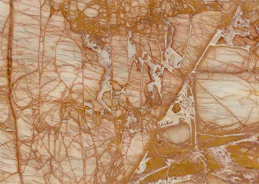 Naranja 241065