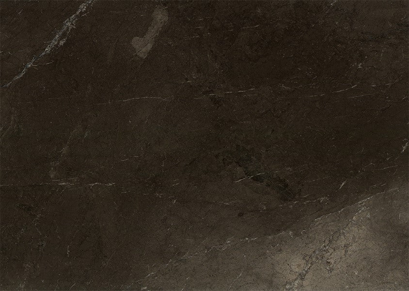 Brown Tempest 241111