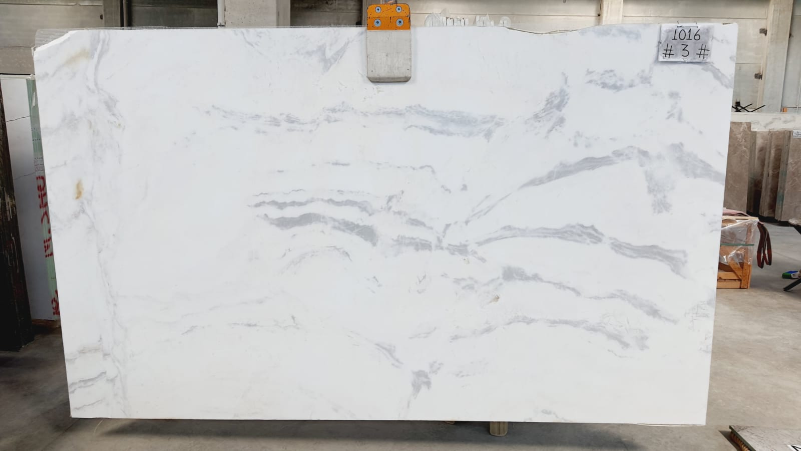 Calacatta Dolomite