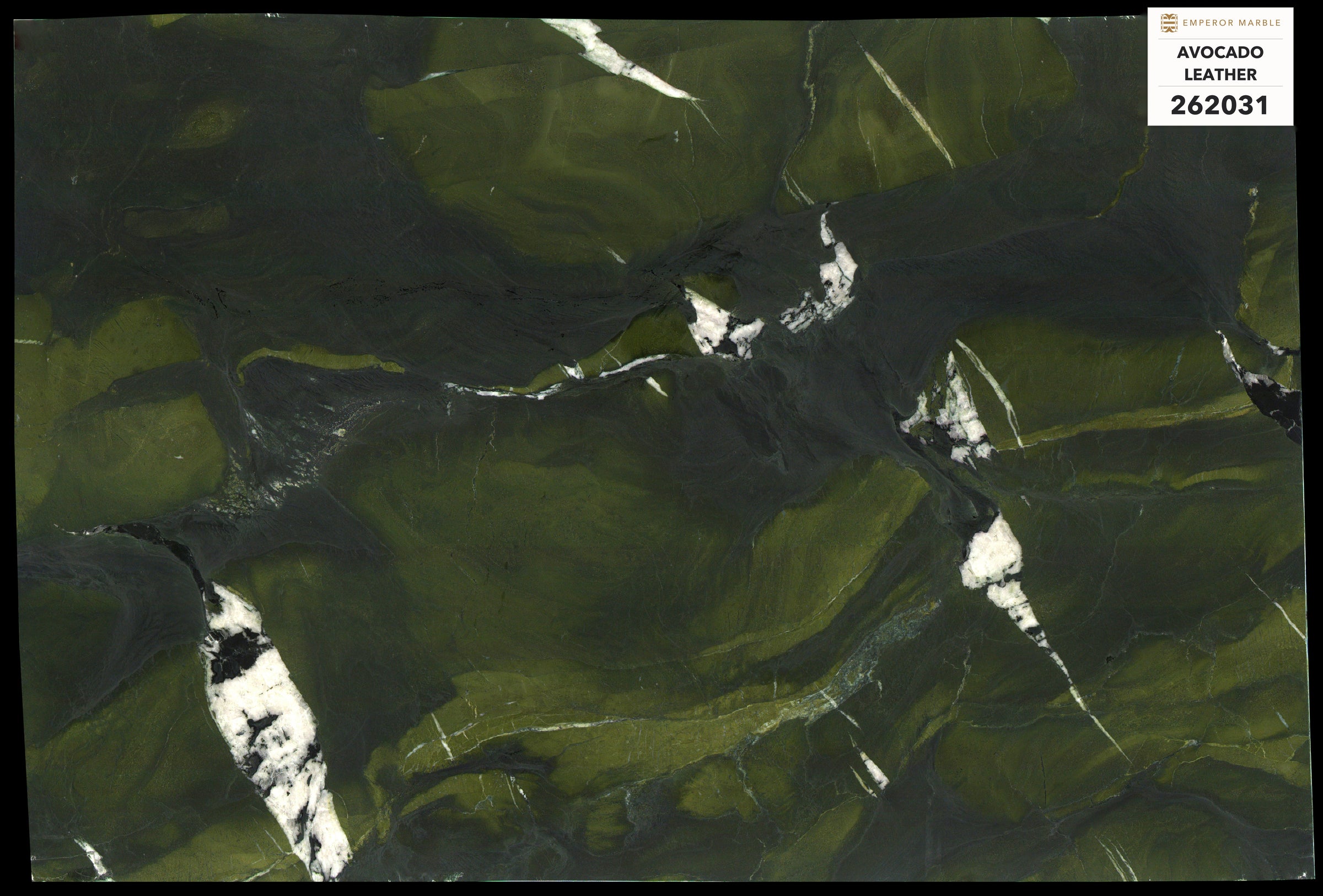 Avocado — Blok 262031
