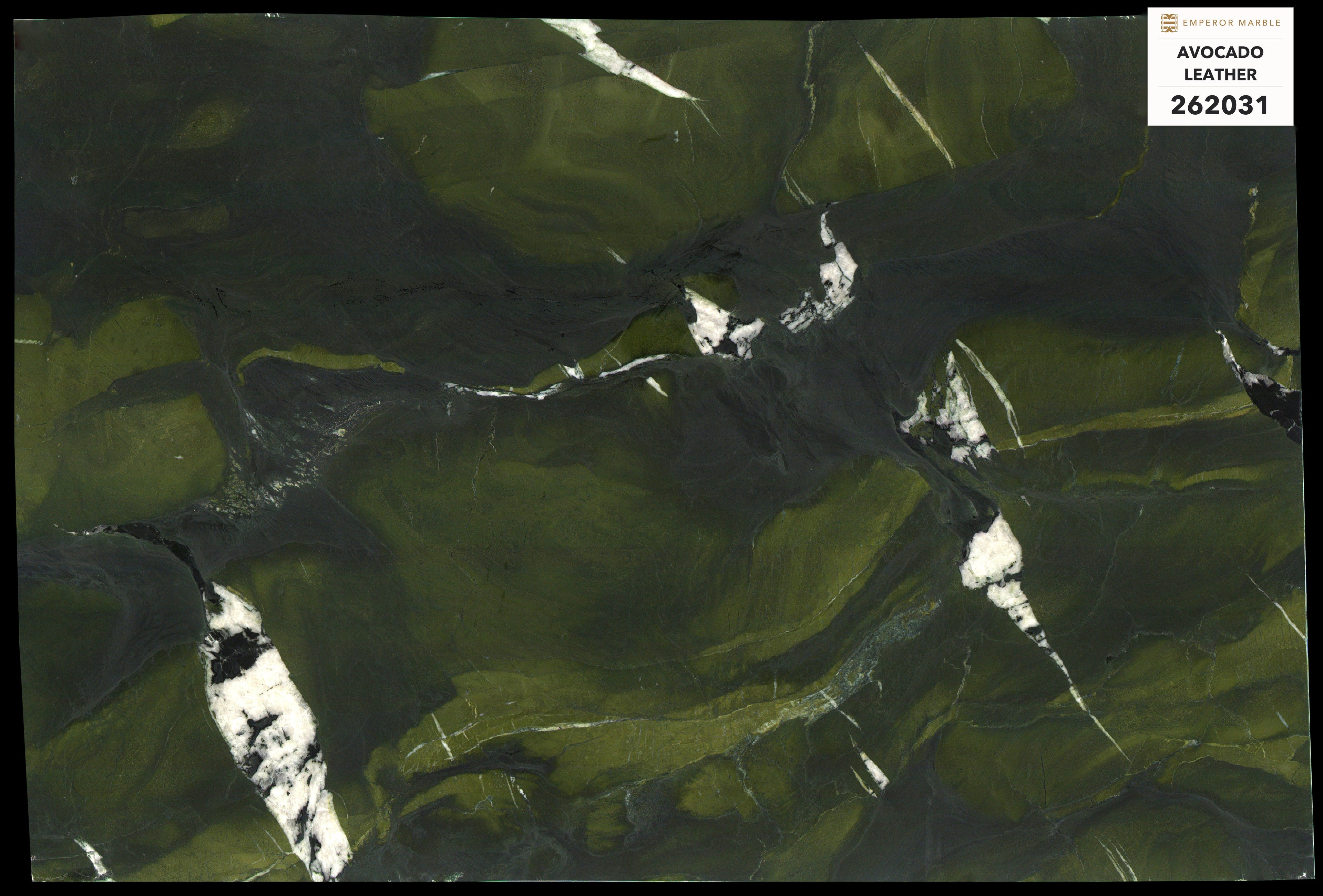 Avocado — Blok 262031