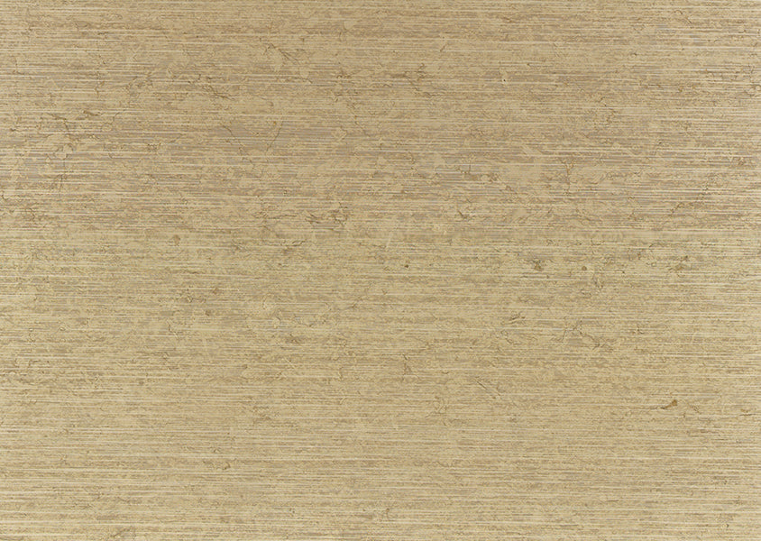 Avorio Corteccia