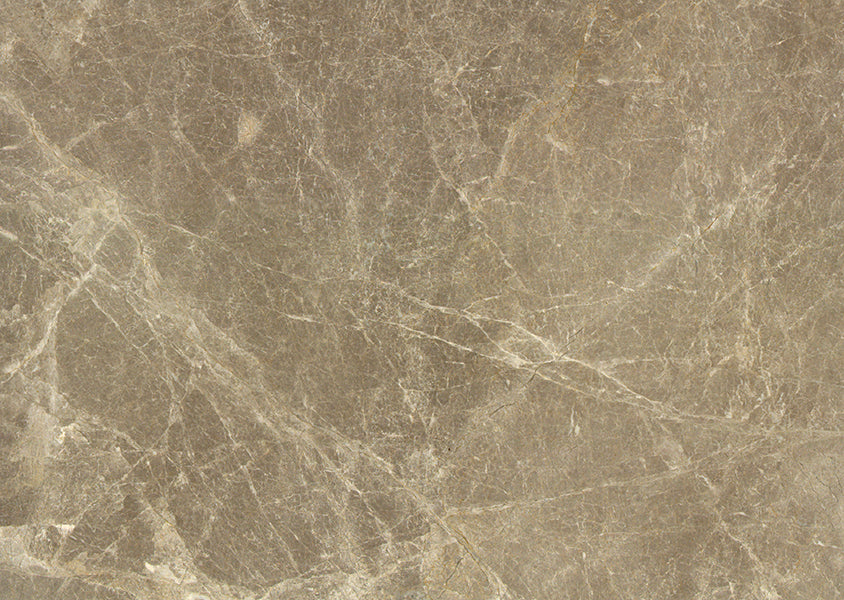 Cream Spider 251002