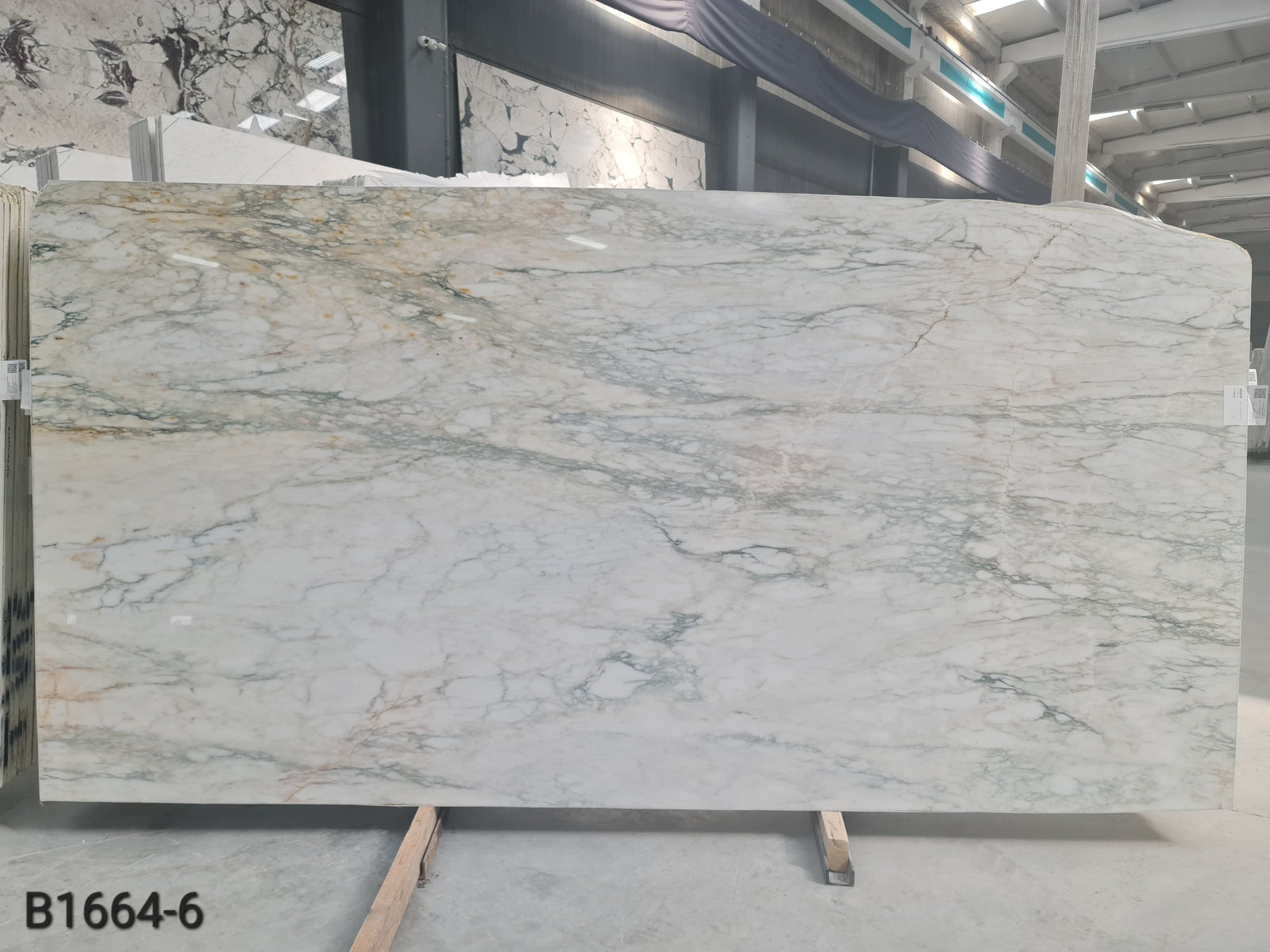 Calacatta Caldia marble slab