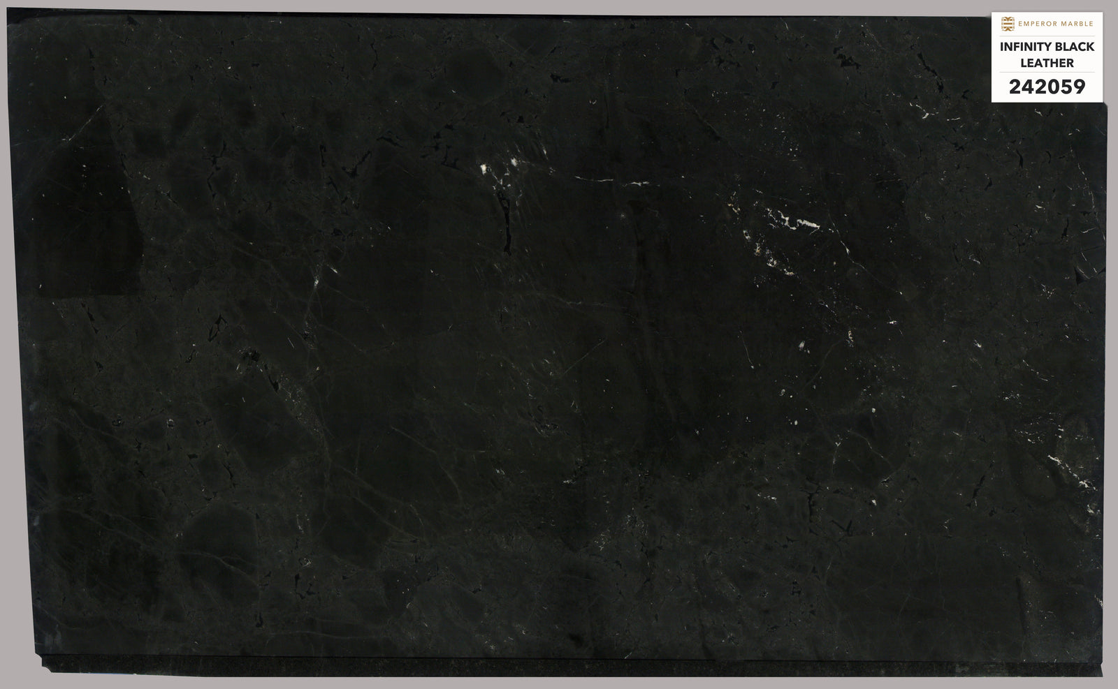Infinity Black Quartzite Slabs