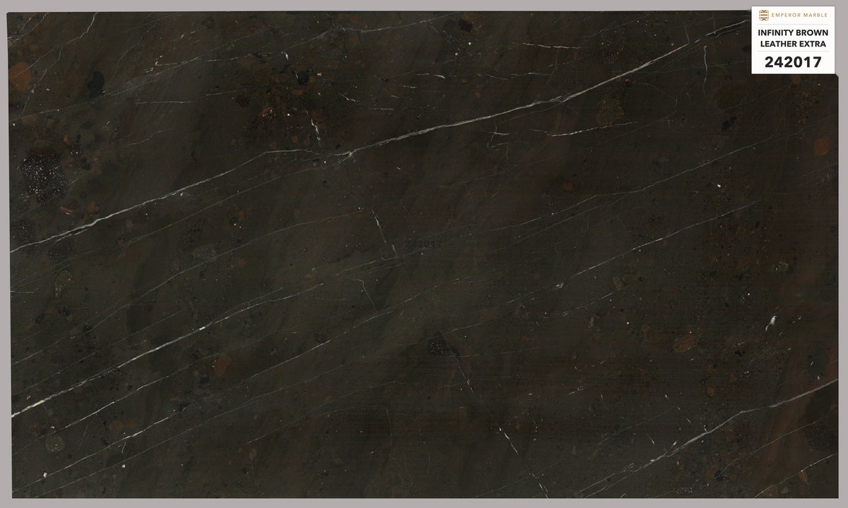 Infinity Brown Leather Extra Quartzite Slabs — Blok 242017