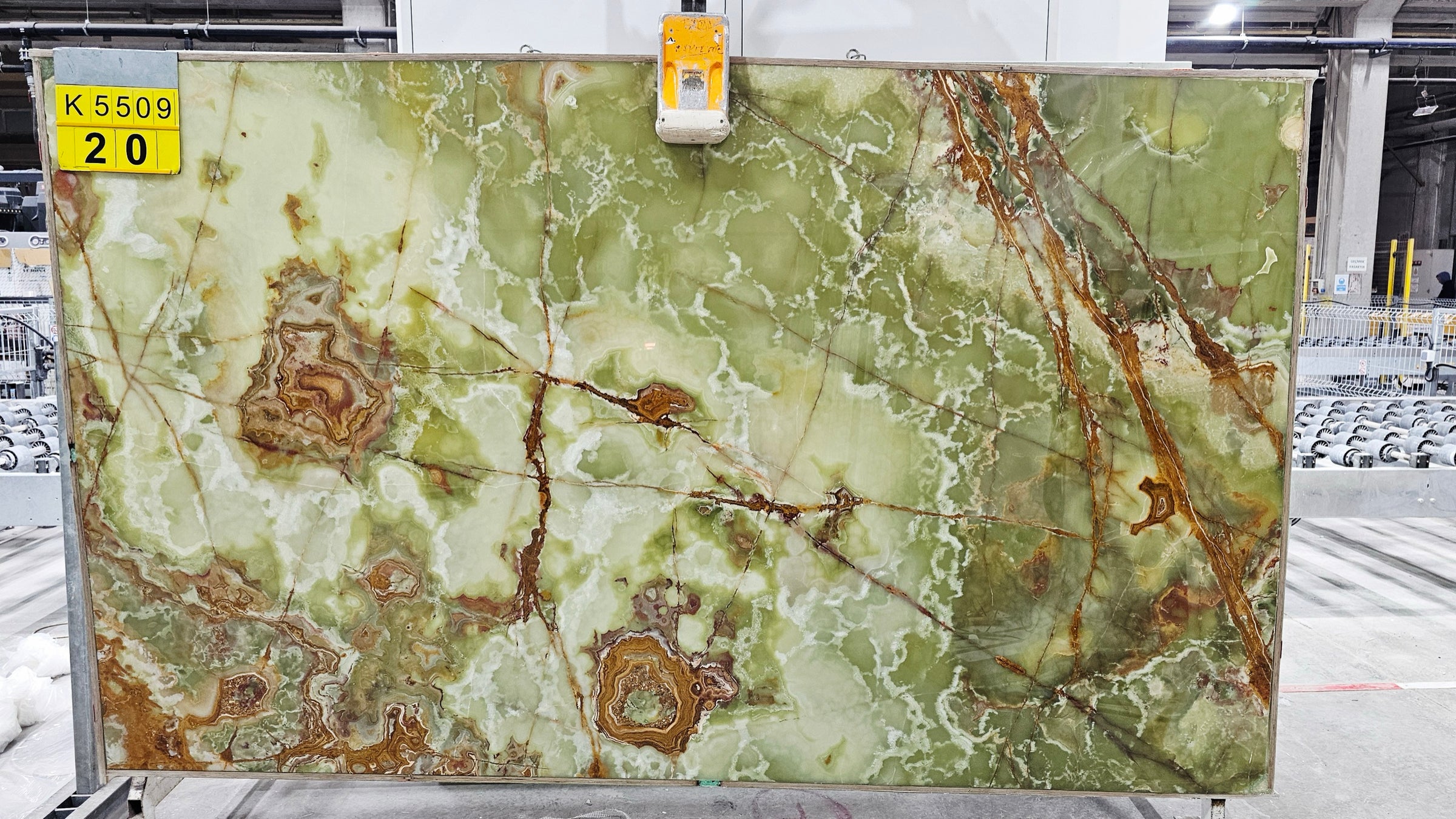 K5509-20-normal