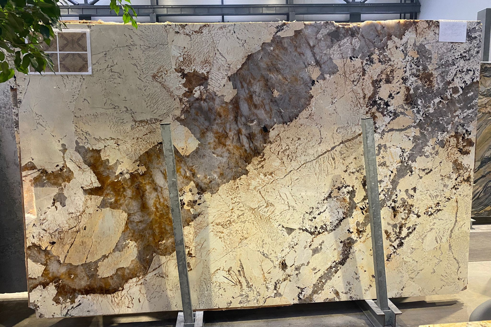 Patagonia Quartzite Slabs
