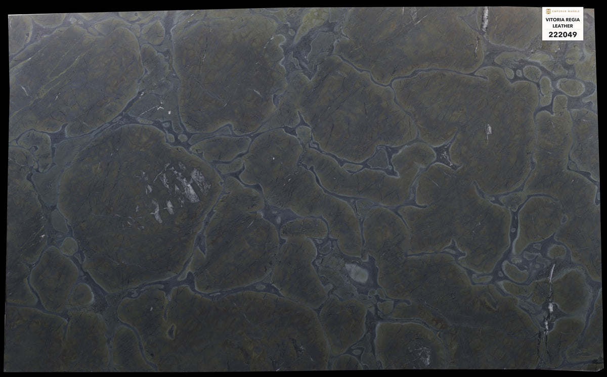 Vitoria Regia Leather Quartzite Slabs — Blok 222049