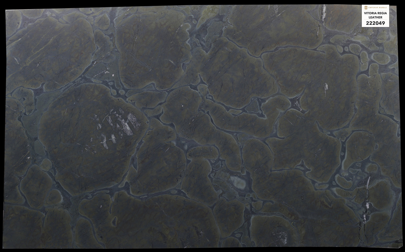 Vitoria Regia Leather Quartzite Slabs — Blok 222049
