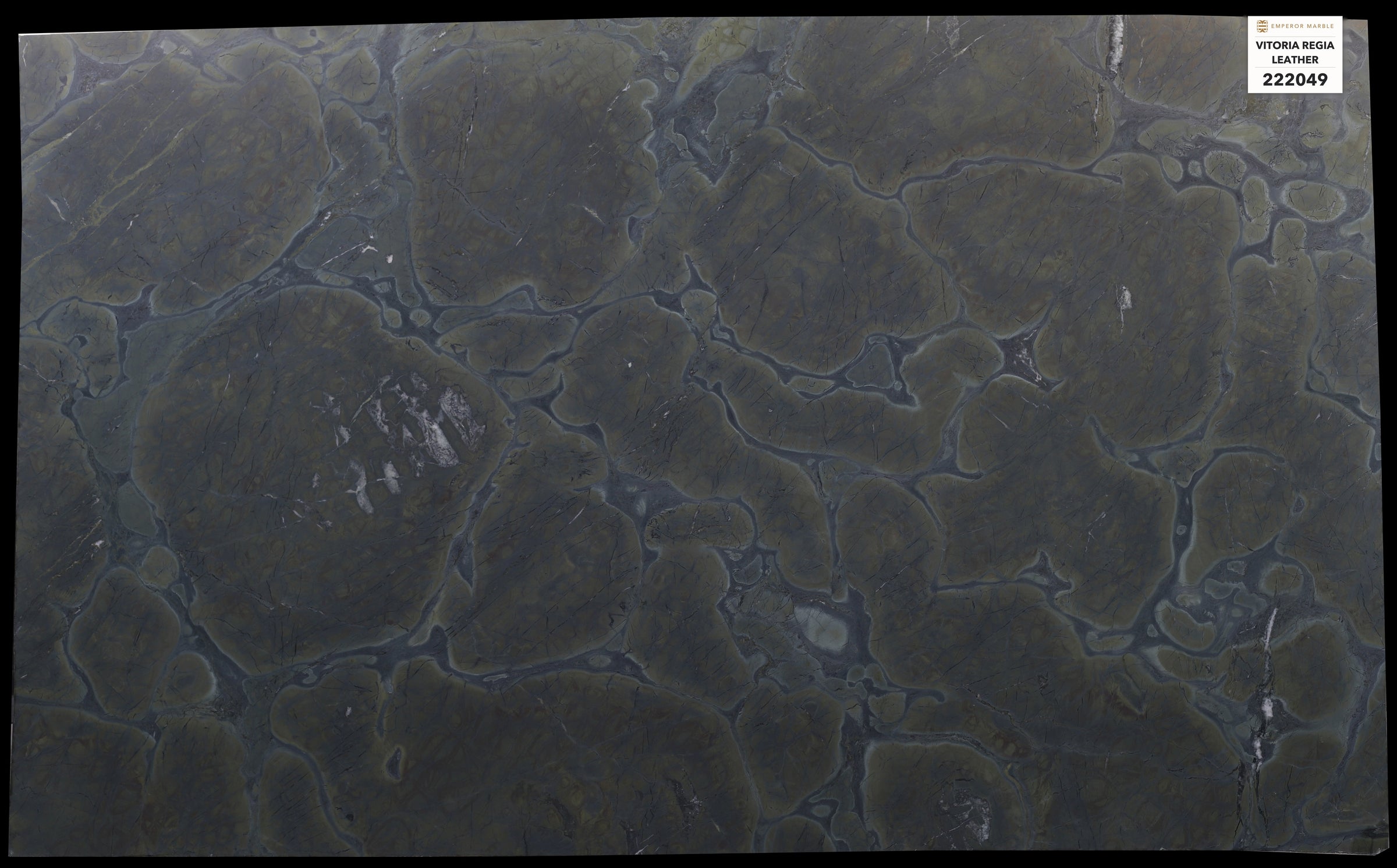 Vitoria Regia Leather Quartzite Slabs — Blok 222049
