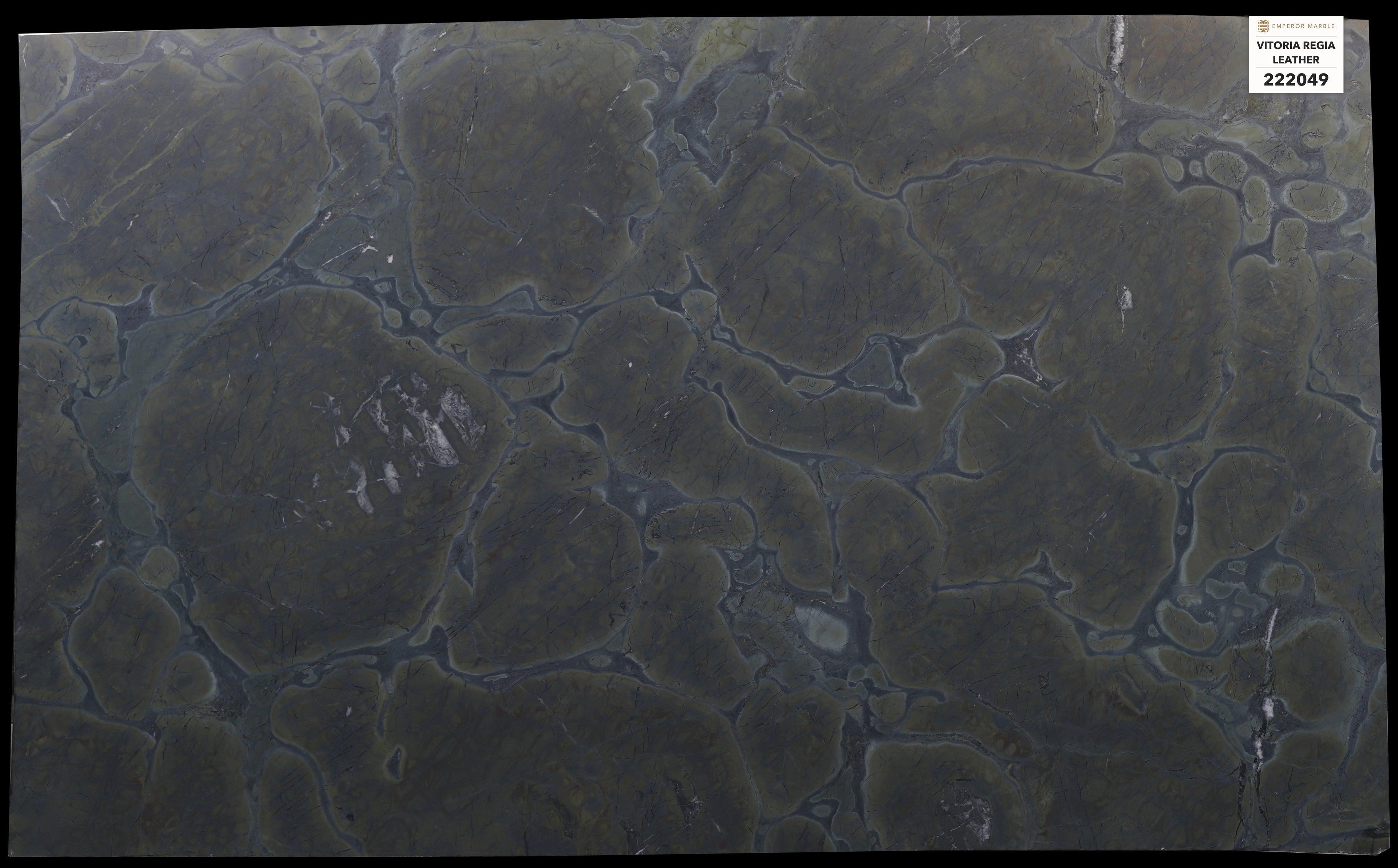 Vitoria Regia Leather Quartzite Slabs — Blok 222049