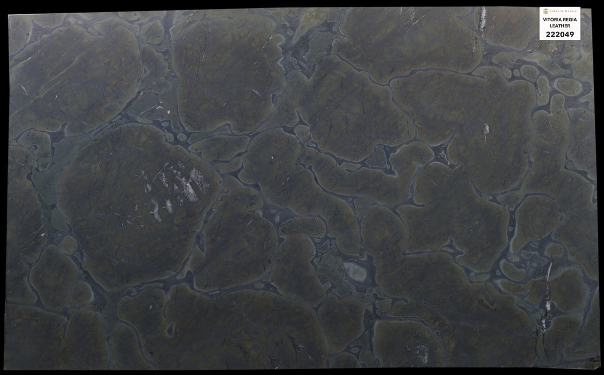 Vitoria Regia Quartzite Slabs