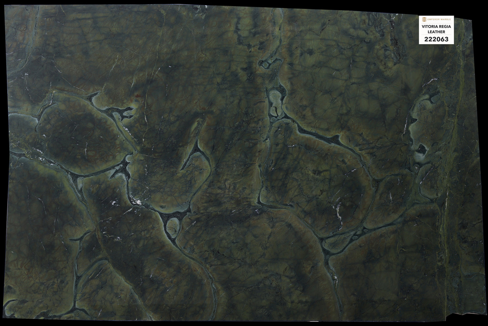 Vitoria Regia Leather Quartzite Slabs — Blok 222063