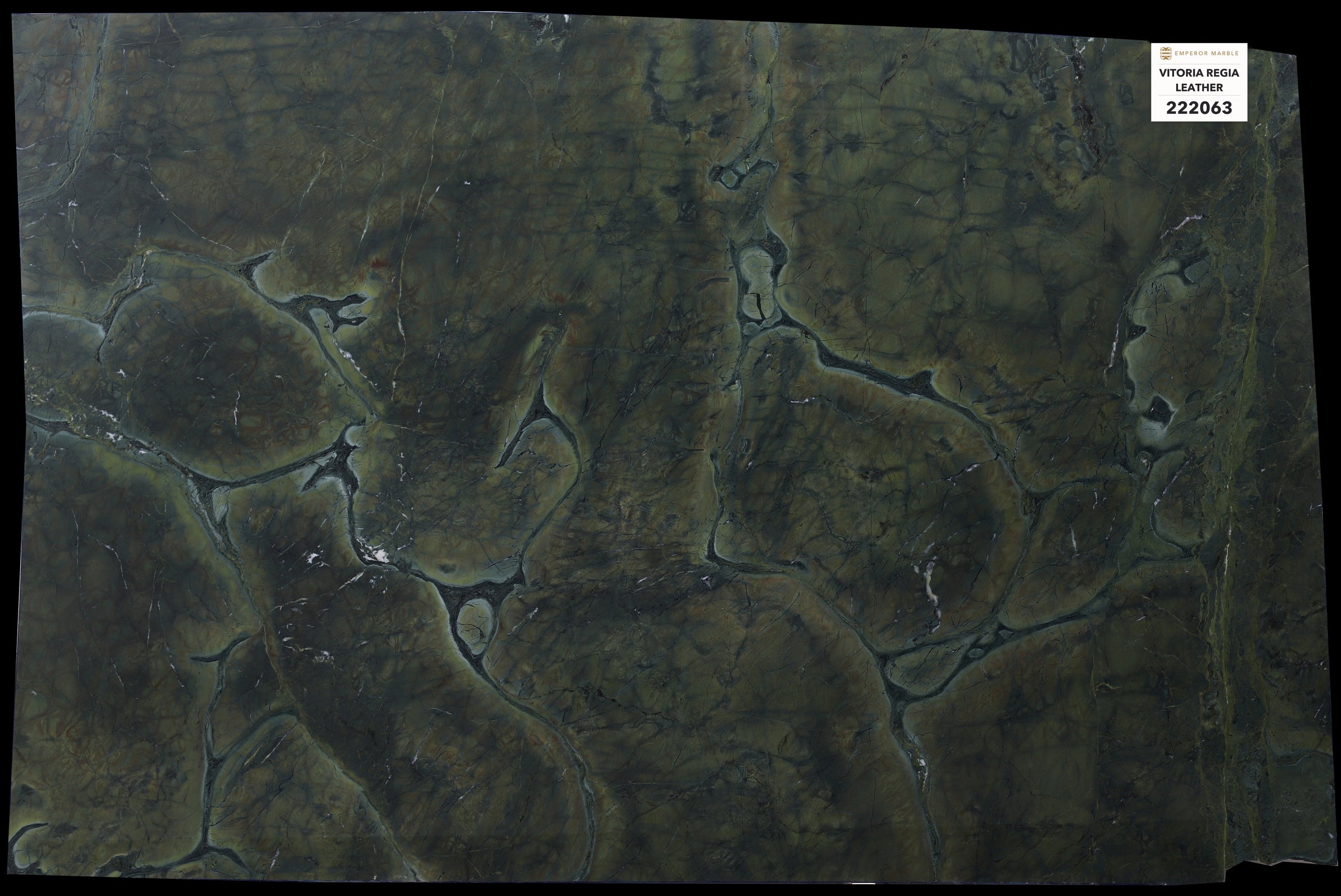 Vitoria Regia Leather Quartzite Slabs — Blok 222063