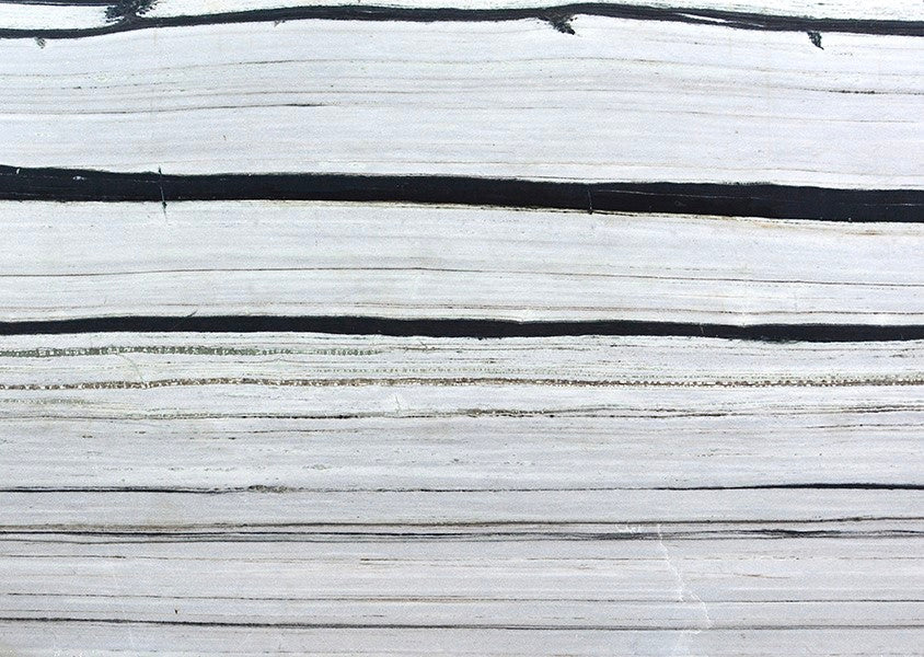 White Zebra Leather 211022
