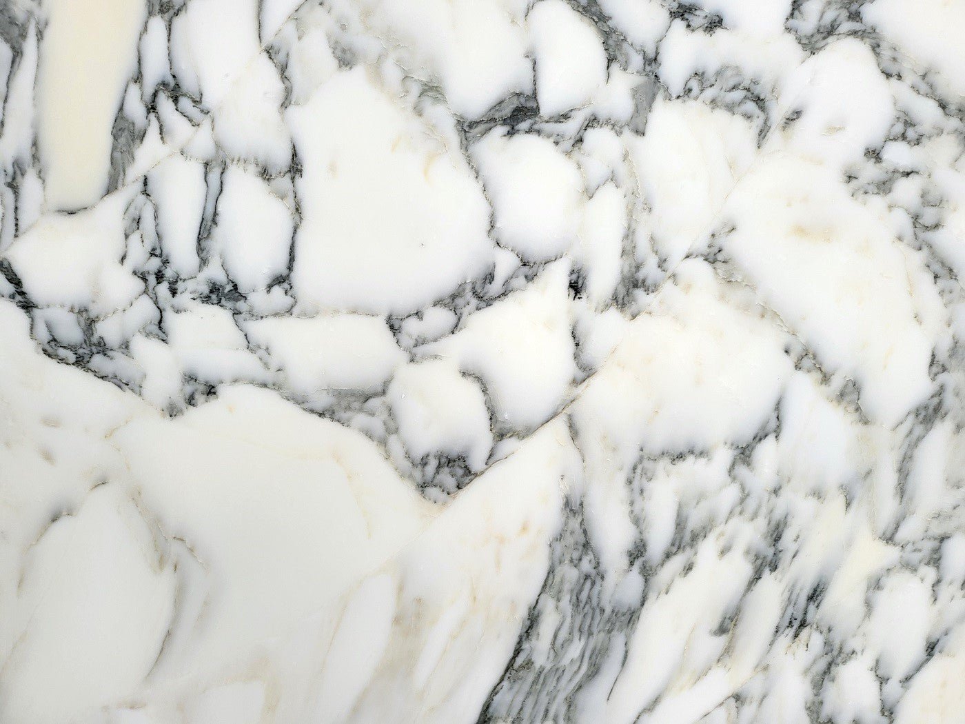 Arabescato Apuano - Emperor Marble