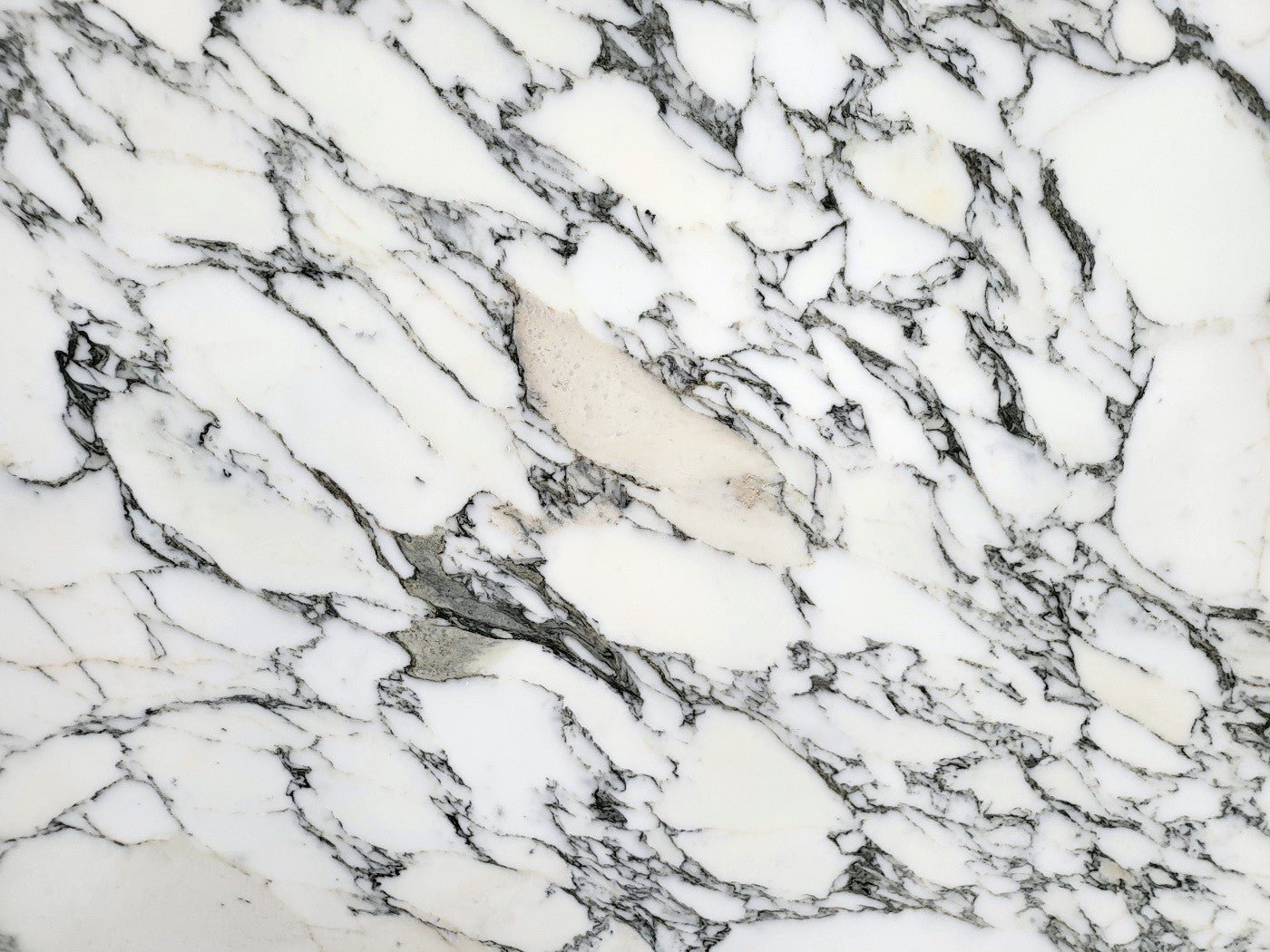 Arabescato Corchia - Emperor Marble