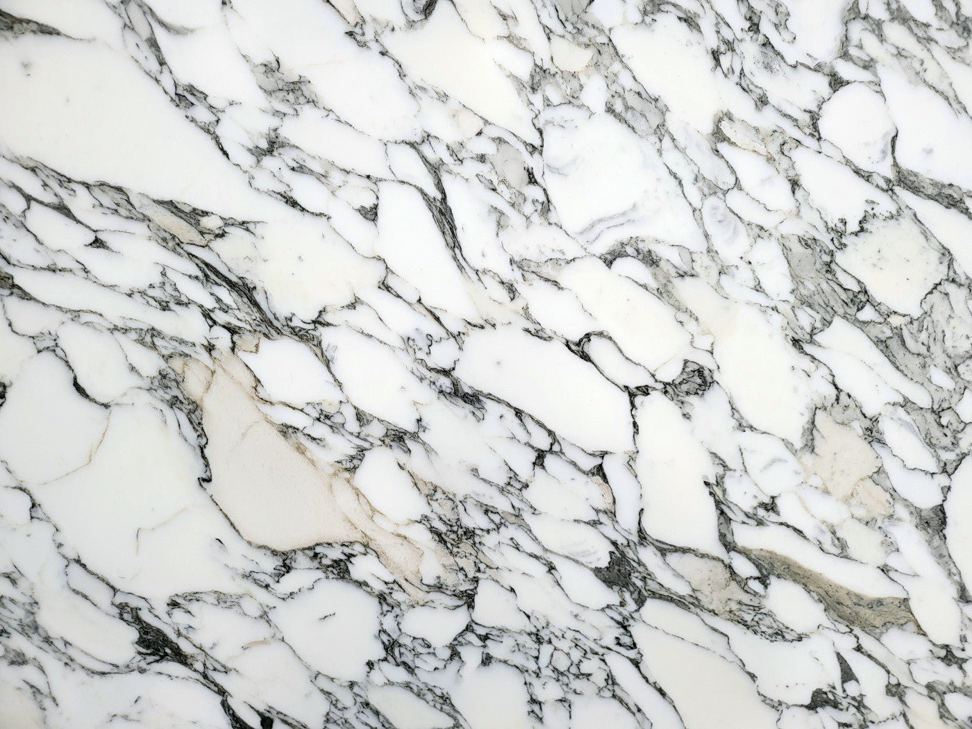 Arabescato Corchia - Emperor Marble