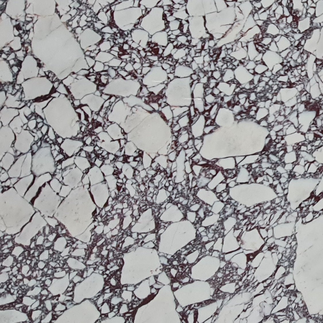 Arabescato Violet Large Format - Emperor Marble