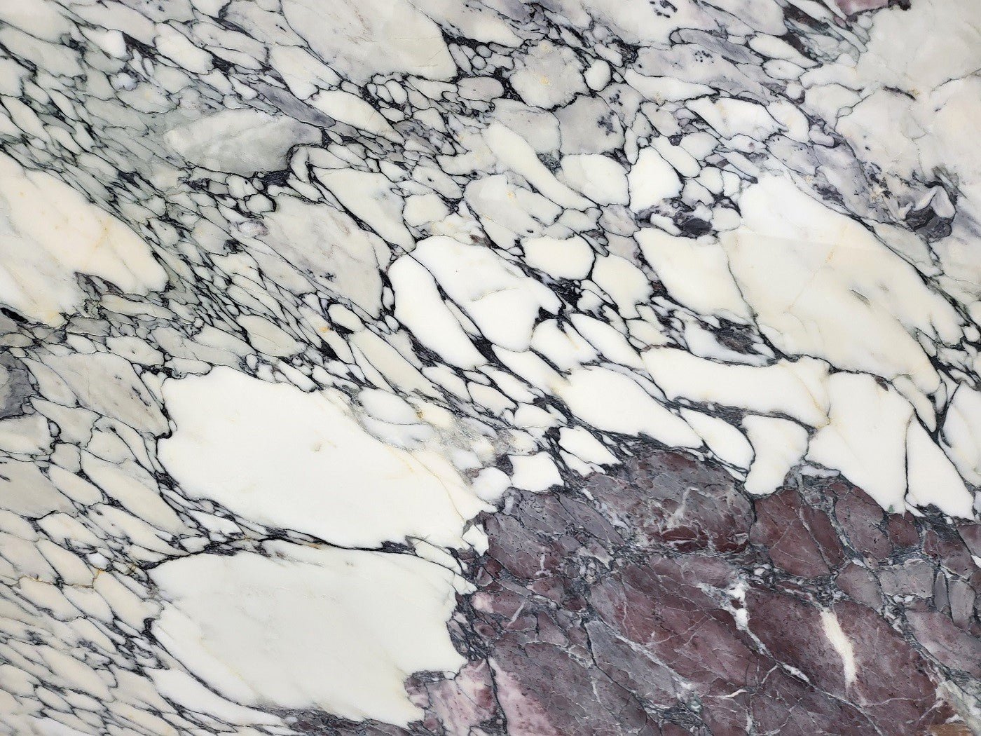 Breccia Capraia Extra - Emperor Marble