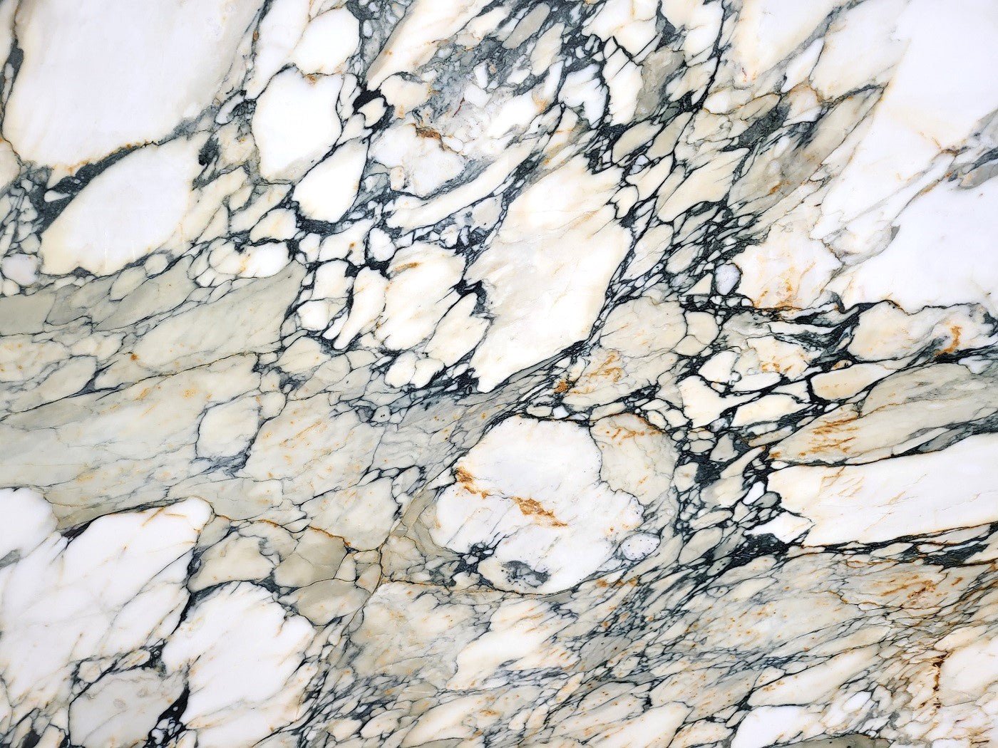 Breccia Capraia Extra - Emperor Marble