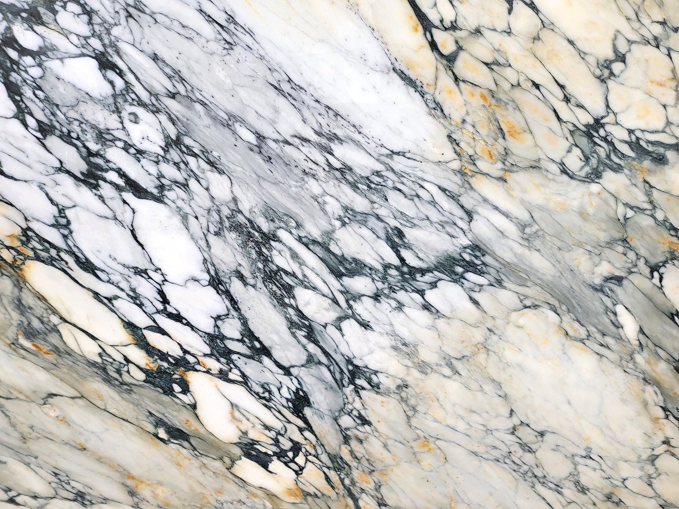 Breccia Capraia Extra - Emperor Marble