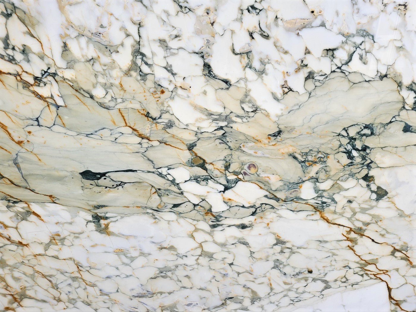 Breccia Capraia Extra - Emperor Marble