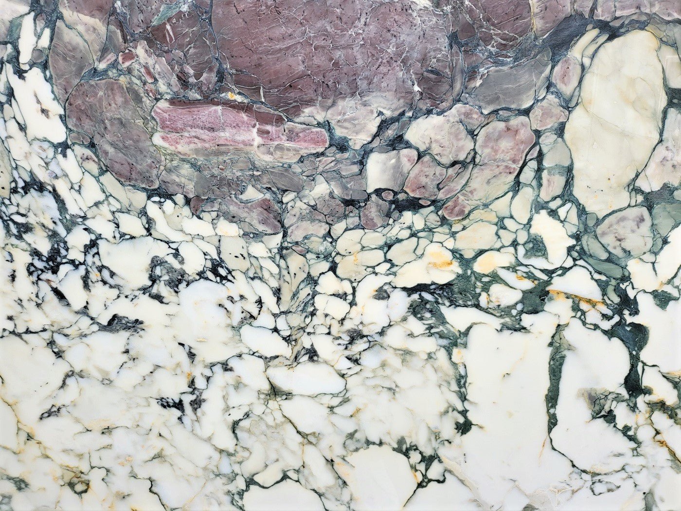 Breccia Capraia Extra - Emperor Marble