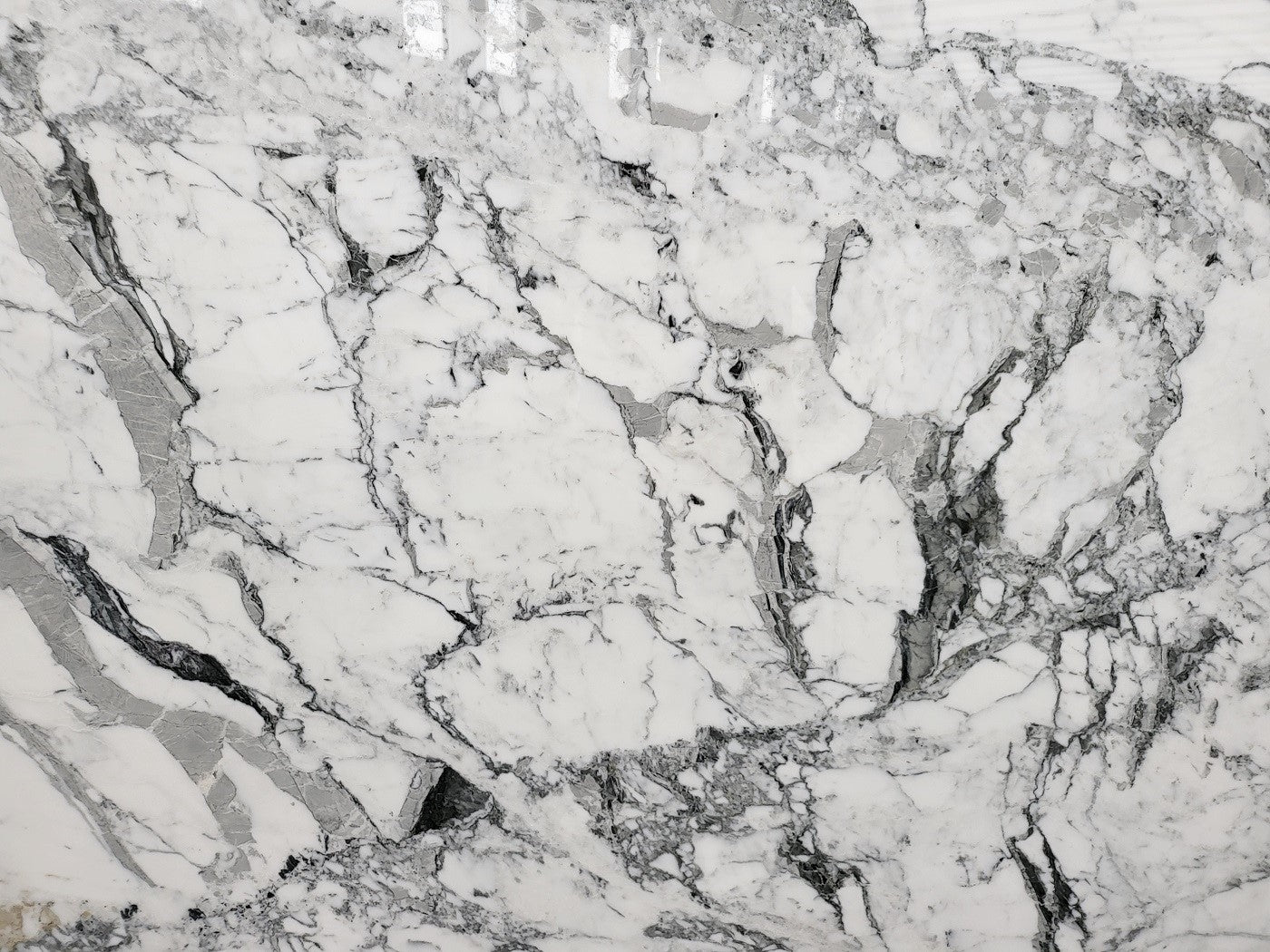 Breccia Capraia Vintage - Emperor Marble
