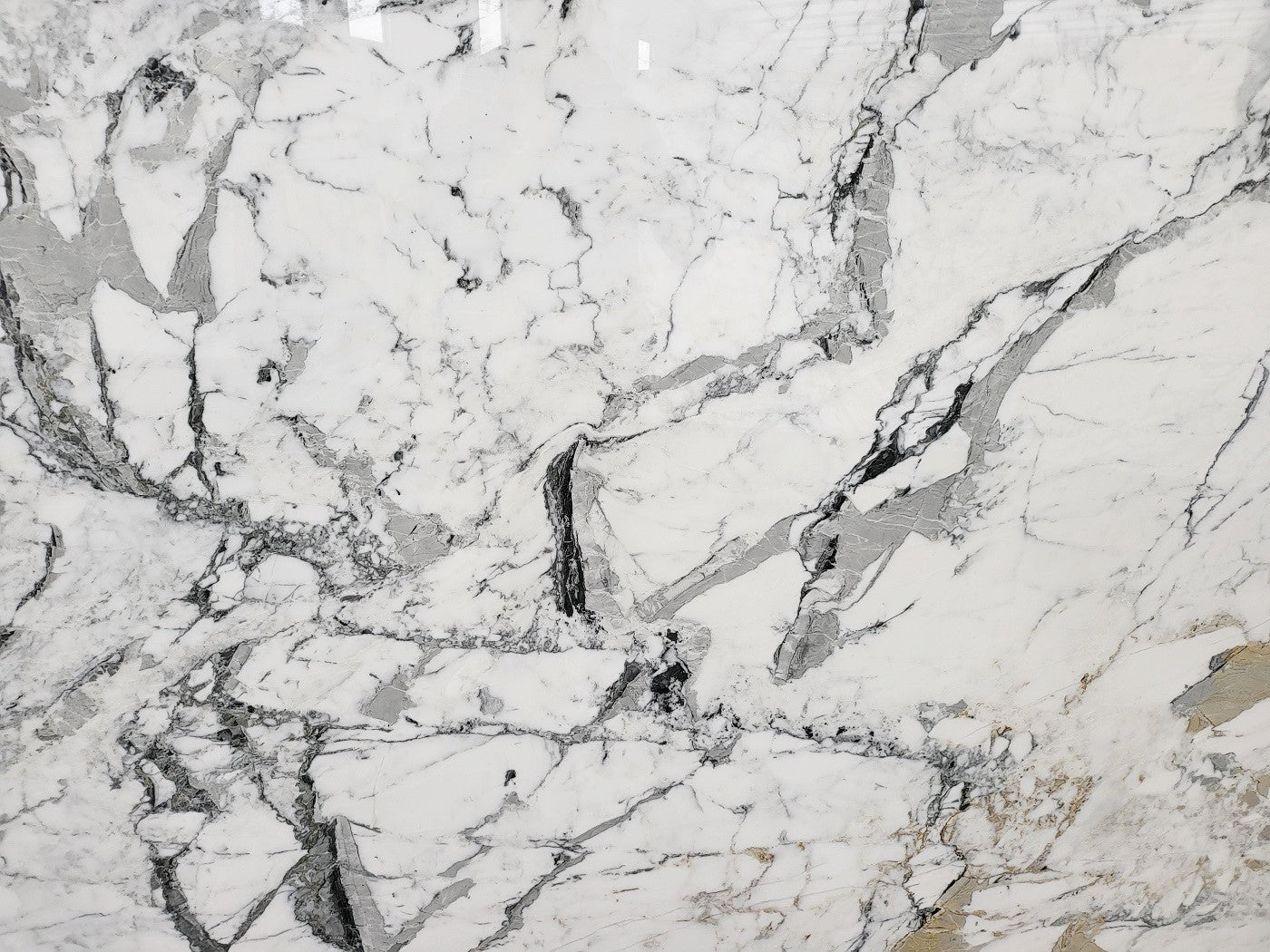 Breccia Capraia Vintage - Emperor Marble