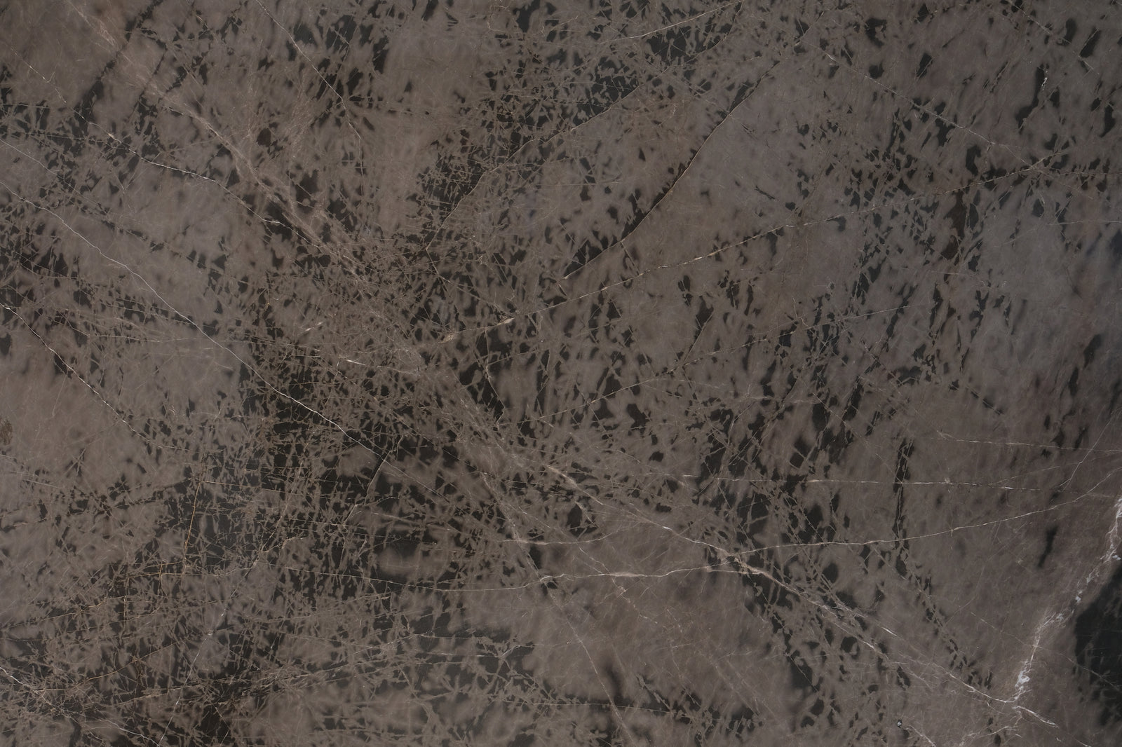 Bruno Perla Brown Large Marble Tiles