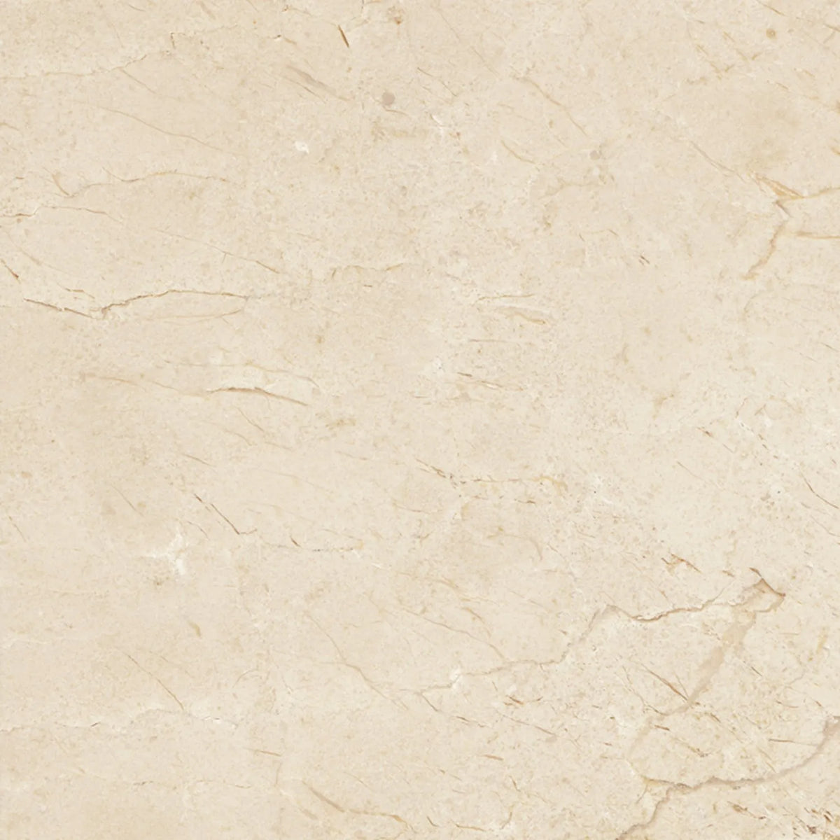 Marfil Beige Large Marble Tiles
