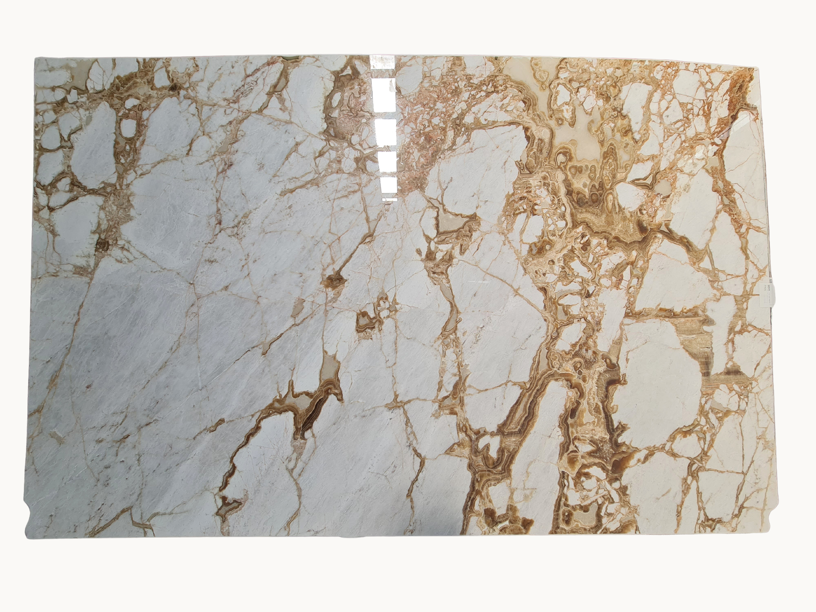 Alba Dorata Onyx Slabs